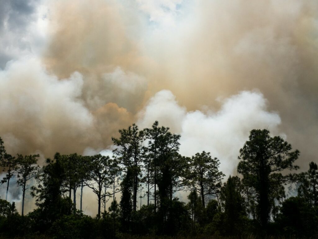 Smoke clouds resulting from forest fire